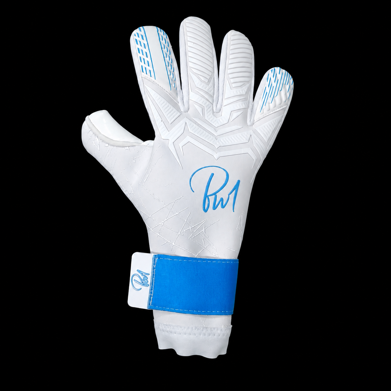(HYB) THE FROST ONYX BW1 GLOVE